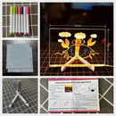 Luminária LED Escrever Abajur 3D Quadro De Notas Cores Mensagens Acrílico Iluminado Apagamento 15x15 20x20 30x20 yb